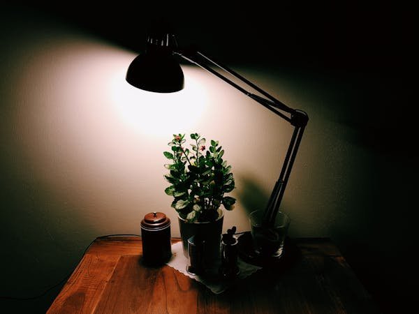 Comment choisir la lampe de bureau idéale pour vous ?